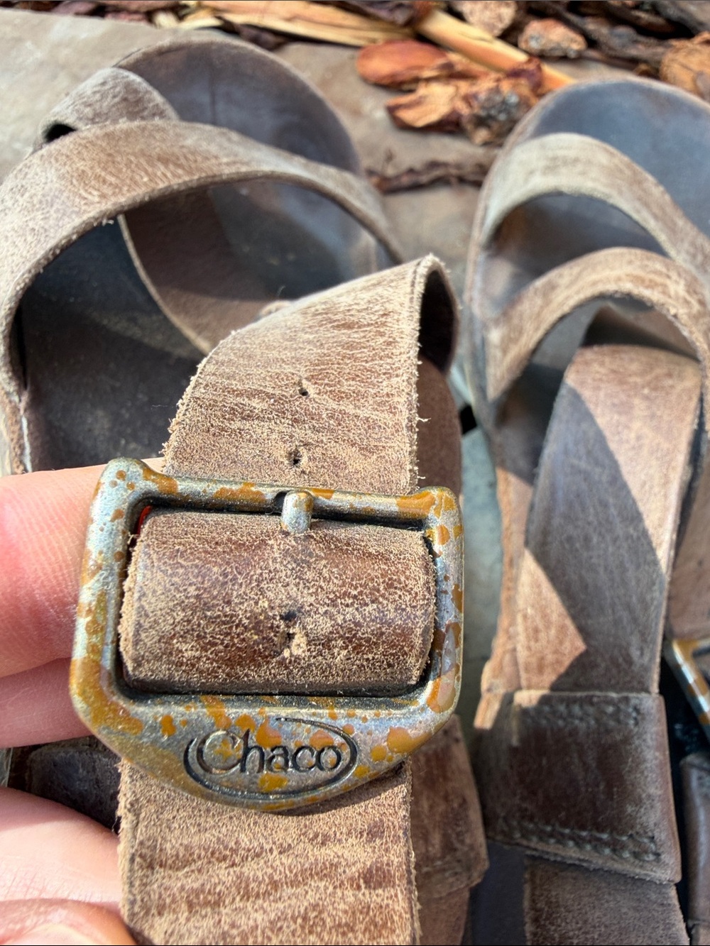 Chaco Brown Leather Cross-Strap Buckle Sandals - Picture 5 of 7